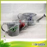 Newgarden Good Reputation Durable Galvanized Watering Can for Plant thumbnail-1