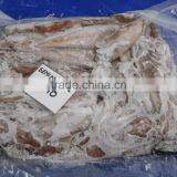 Semi Needle Squid Whole thumbnail-2