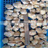 Tasty Best IQF Baby Clam Without Shell thumbnail-2