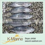 Fresh Tuna Fish Albacore Whole Round Lot Number#kmw4003 thumbnail-1