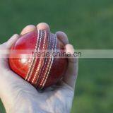 Cricket Ball thumbnail-1