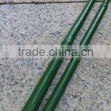 Plastic Coated Bamboo Canes thumbnail-4