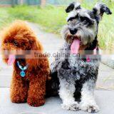 RH1911H Dog Necklace Round Bone Brand Pet Necklace With Dog Tag thumbnail-4