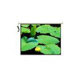 High Quality Screen thumbnail-1