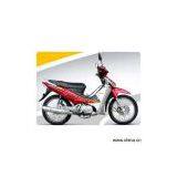 Sell Cub (YG110-10B) thumbnail-1