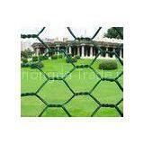 Zinc - Plating / Galvanized Wire Fence Plastic Coated Chicken Wire Mesh