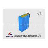 Custom LiFePO4 Battery Backup Power System For Mobile Video Surveillance