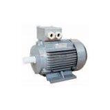 Y2 Series Motors thumbnail-1