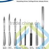 21 Amputating Knives Cartilage Knives Autopsy Knives