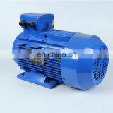 YE2-315L2-2 2980R/MIN Speed 270HP Three Phase Asynchronous Ac Motor 200KW thumbnail-4