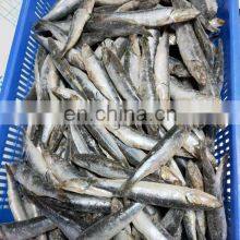 Good Quality IQF Sardine Fish Export for Fishing Bait thumbnail-5