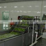 Industrial Large Capacity Fruit and Vegetable Washing Machine thumbnail-3