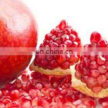 Passion Fruit Seed Separator Machine/ Commercial Pomegranate Seed Separating Machine thumbnail-3