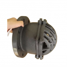 BS/DIN DN100 PN16 Cast Iron/Ductile Iron GG25 GGG50 Foot Valve Flange/Thread Foot Valve Factory thumbnail-1