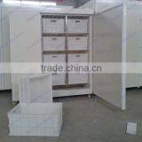 Hot Sales Automatic Equipments for Shoots /peas /radish /alfalfa Sprouts Cultivate thumbnail-5