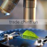 ORGANIC ARGAN OIL ( 100 % Pure ) ALL- PURPOSE OIL From Morocco ( BULK ) thumbnail-6