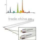 T5 HO Tube 2FT 24W 3000K Bloom Fluorescent T5 Grow Light thumbnail-2