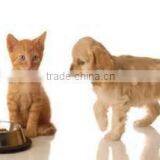 Animal Feed Pellet Production Line