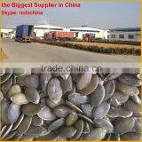 Shine Skin Pumpkin Seeds & PUMPKIN SEEDS GWS AA 9cm 9mm 10 cm up 10 mm up 11cmup 11mm up 12cm up 12mm up thumbnail-6
