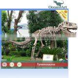 Life Size Museum Animatronic Dinosaur Skeletons thumbnail-5