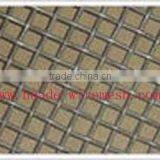 Stainless Steel Square Wire Mesh