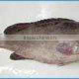 Frozen Reef Cod Whole, HO Gutted, Skin-on or Skinless Fillet