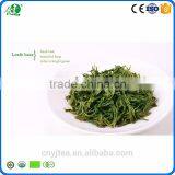 Quality Guaranteed Fresh Green Tea Leaves Organic/green Tea Bags Bulk thumbnail-2