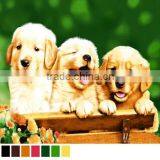 100% Polyester Material Printing Coral Fleece Blanket thumbnail-5