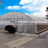 Economical tropical greenhouse for agriculture