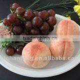 Corn Starch Biodegradable 10 Inch Plate