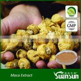 GMP manufacturer supply organic pure natural and high quality powder of peru maca