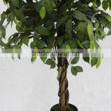 Indoor Artificial Ficus Tree Wooden Trunk for Sale thumbnail-3