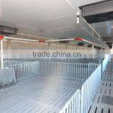 Pig Stainless Steel Double Sided, Three-head Feeder thumbnail-4