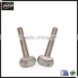 stainless steel GB37 m6 m8 m10 t head bolt