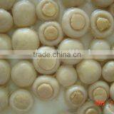 Marinated Canned Mushroom thumbnail-1