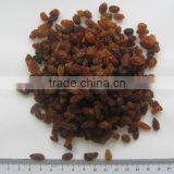 Best Price Red Raisin From China thumbnail-2