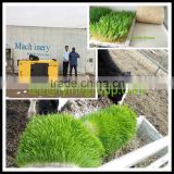Stainless Steel Automatic bean sprout growing machine
