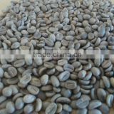 Finest Green Indian Arabica Robusta Coffee Beans - Extremely Popular for Weight Loss