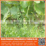 Bird Mist Nets / Plastic Hdpe Netting Fabric , Nylon Bird Nets For Catching Birds thumbnail-3