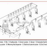 2017 Pork Eating Auto Line Feeding System Line for Pig