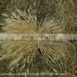 MINGYUE 4GK Grain Reaper Binder thumbnail-5