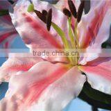 Home Garden Creepers Decoration 110cm Height Artificial Red 2 Flowers 2 Bud Lily Making EBHH04 2211 thumbnail-4