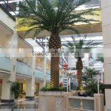 Top Fake Fiber Glass Palm Tree Indoor and Outdoor Decoration Artificial Outdoor Palm Trees thumbnail-1