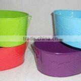 Planters Colored thumbnail-1