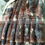 Food Wholesale of Illex Squid thumbnail-2