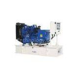 50 Hz / 60 Hz Perkins Diesel Generator , 1103A-33TG1 , 4 Stroke