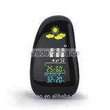 Garden Humidity Multifunction Weather Station