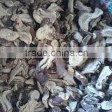 Galangal, Slice Dried Galangal From Indonesia is the Best thumbnail-2