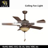 Whole sale price energy-saving lamp ceiling fan light