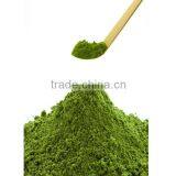 Premium Benefit of Green Tea at Reasonable Prices thumbnail-2